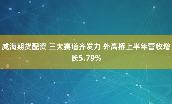 威海期货配资 三大赛道齐发力 外高桥上半年营收增长5.79%